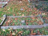image number sg616